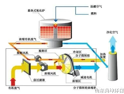 性生生活大片免费看视频